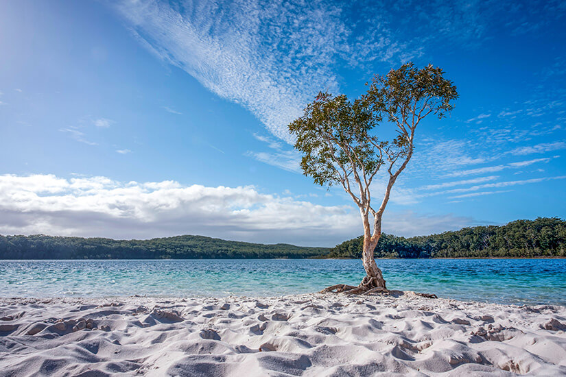 Australien Fraser Island