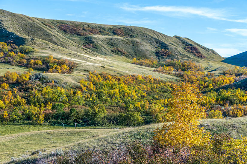 Saskatchewan im Herbst