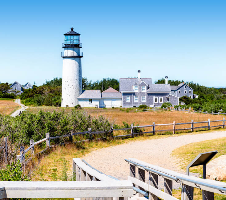 Cape Cod in den USA: Whale Watching in Massachusetts