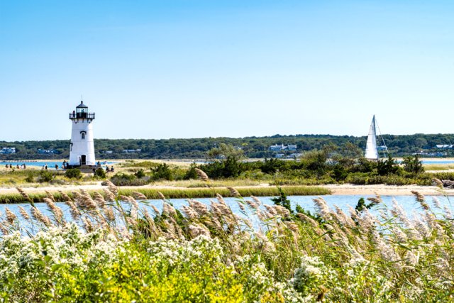 Cape Cod in den USA: Whale Watching in Massachusetts