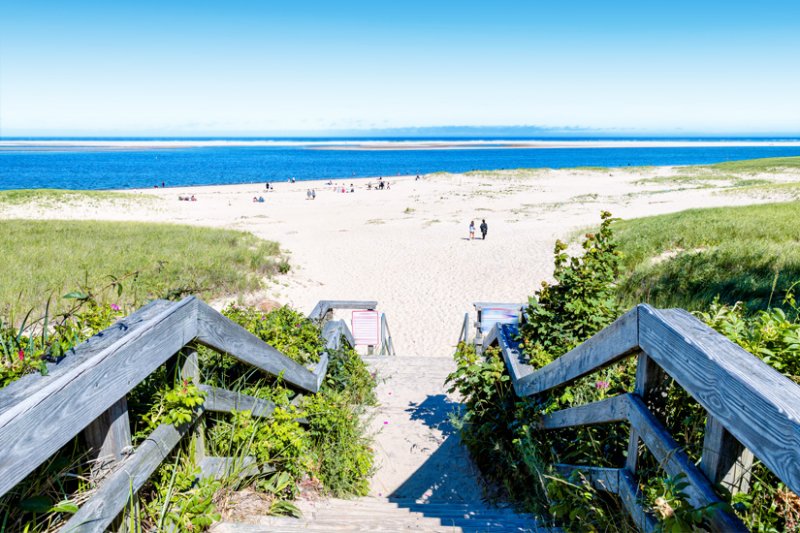 Cape Cod in den USA: Whale Watching in Massachusetts