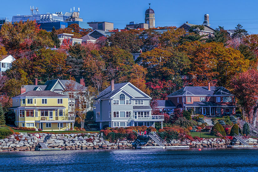 Halifax Herbst