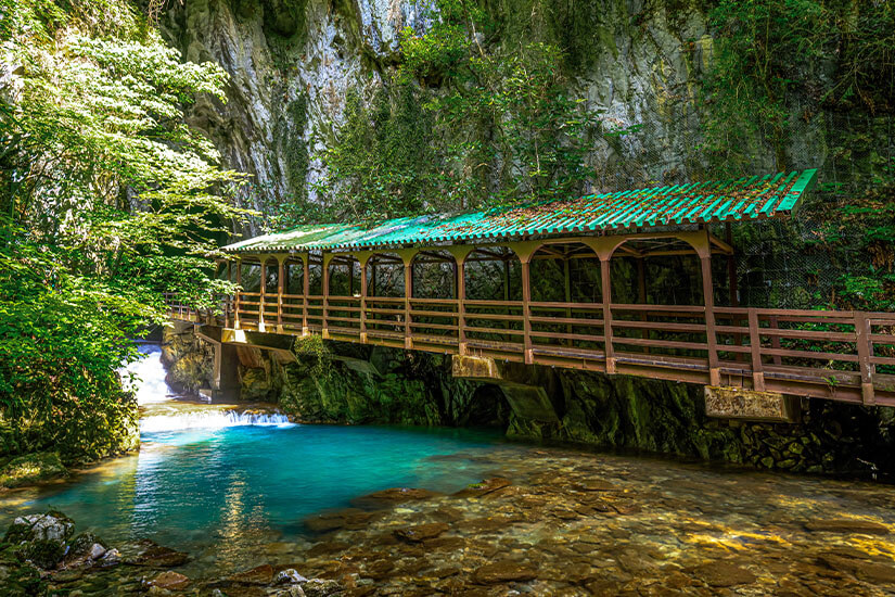 Honshu Akiyoshi Hoehle