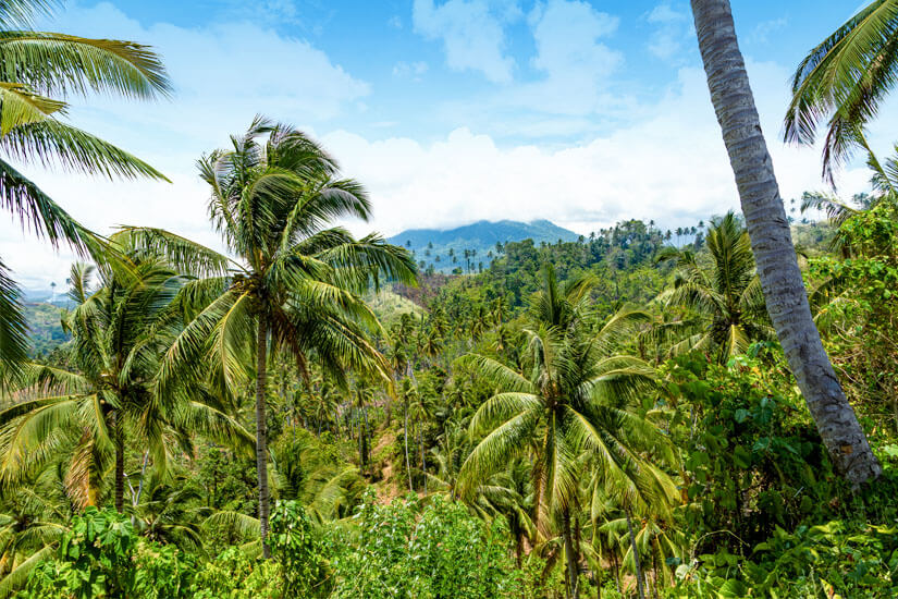 Sulawesi Mount Klabat