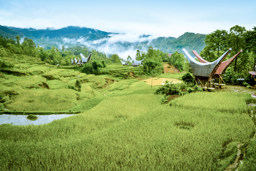 Sulawesi Toraja