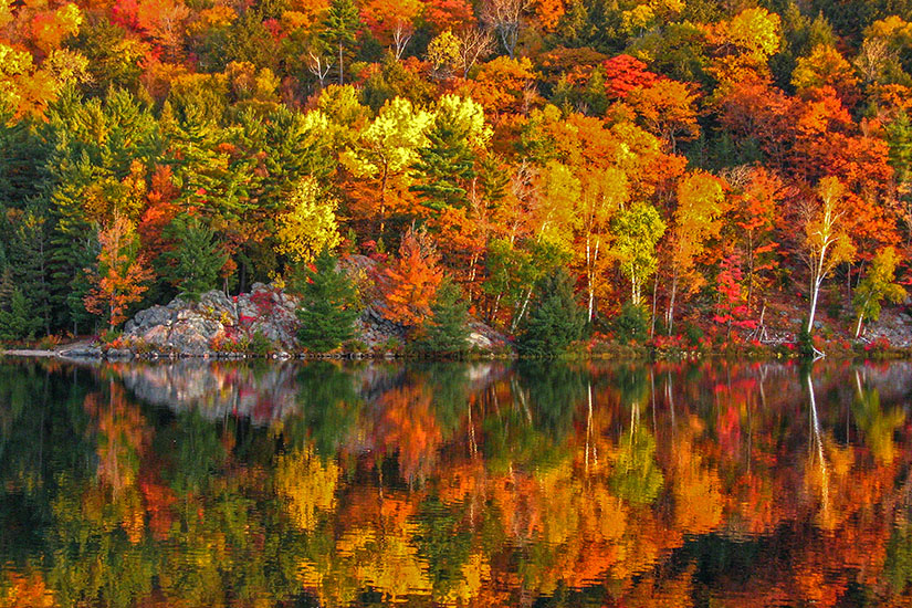 Ontario Herbst