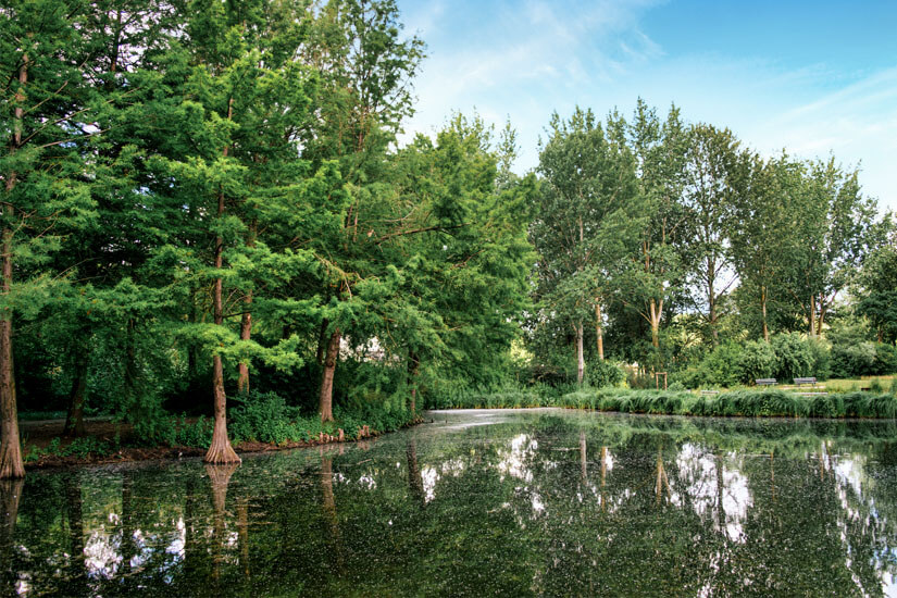 Amiens Jardin des Plantes