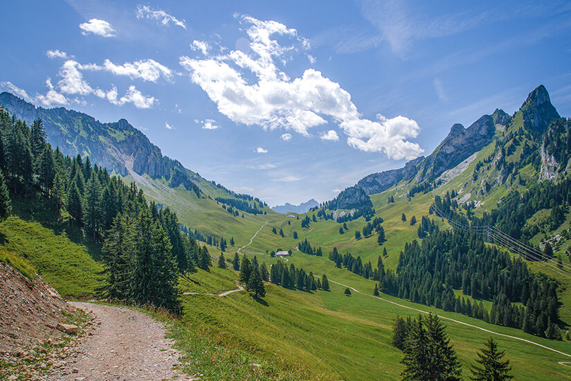 Wandern bei Fribourg