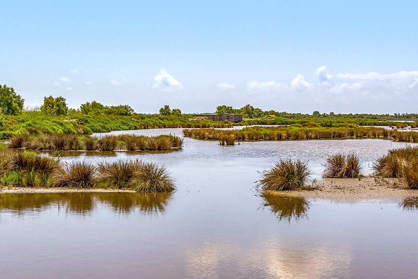 Naturpark Camargue
