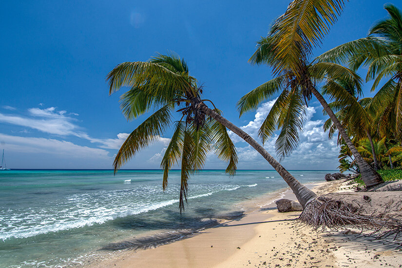 Dominikanische Republik Straende Isla Saona