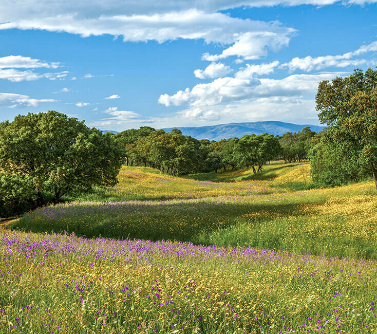 Extremadura in Spanien Sehenswürdigkeiten & Aktivitäten