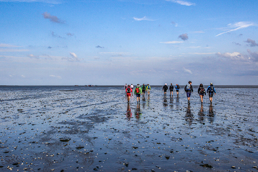 Nordsee Wattwanderung