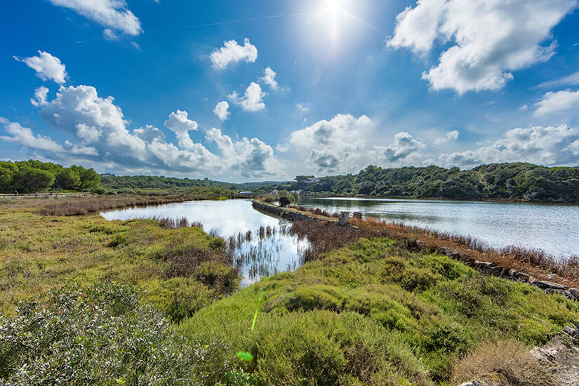 Parc natural de s Albufera des Grau