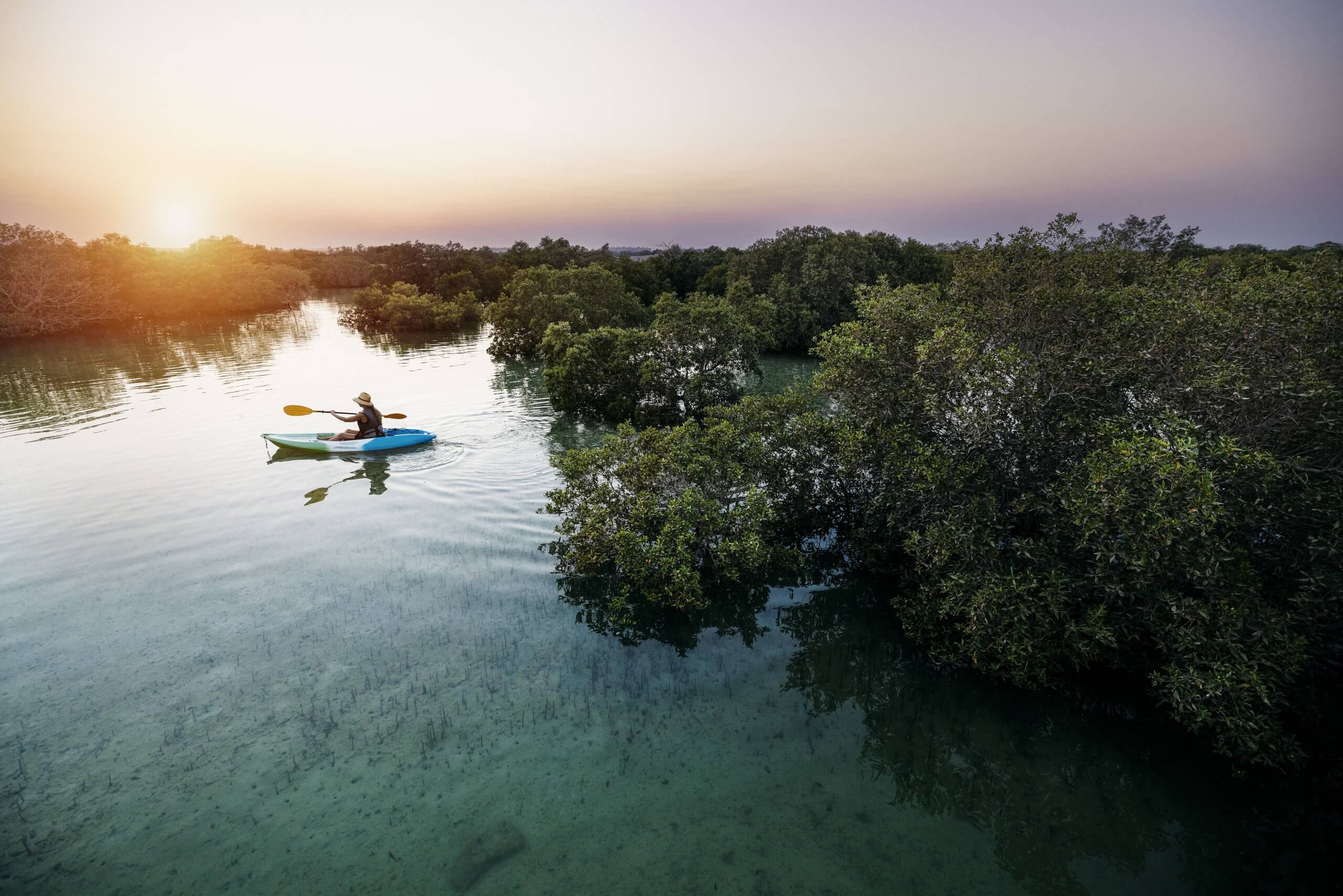 Kayaking at Jubail Mangrove Park Kayaking at Jubail Mangrove Park