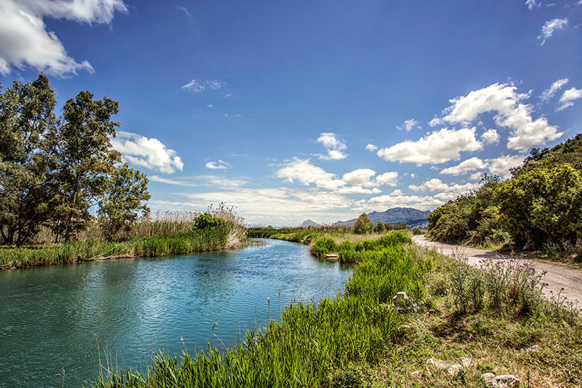 Parc Natural de la Marjal de Pego Oliva