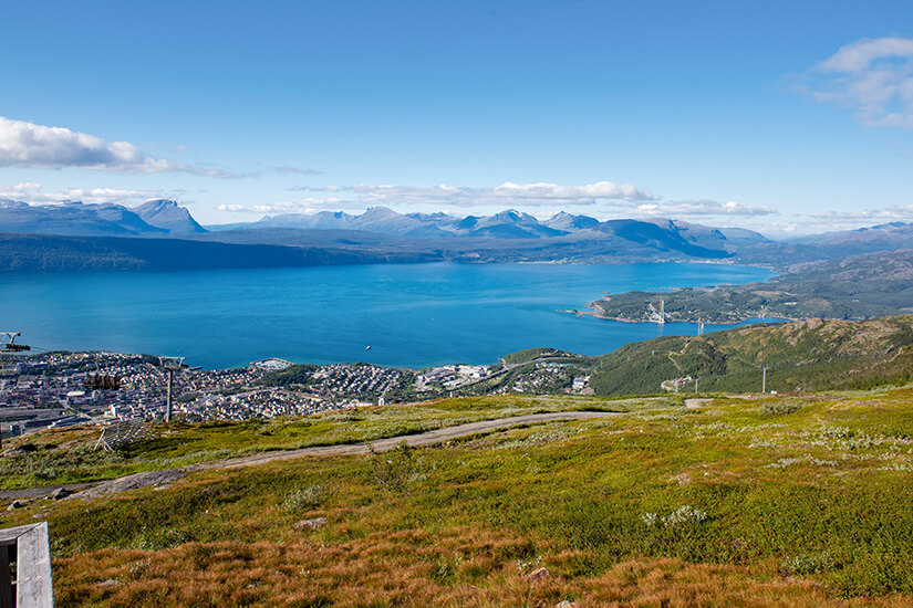 Narvikfjellet