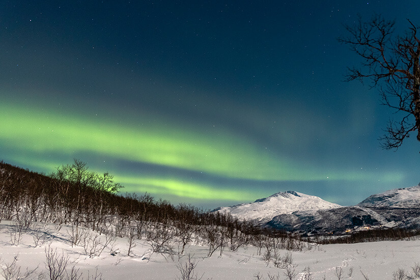 Nordlicht bei Narvik