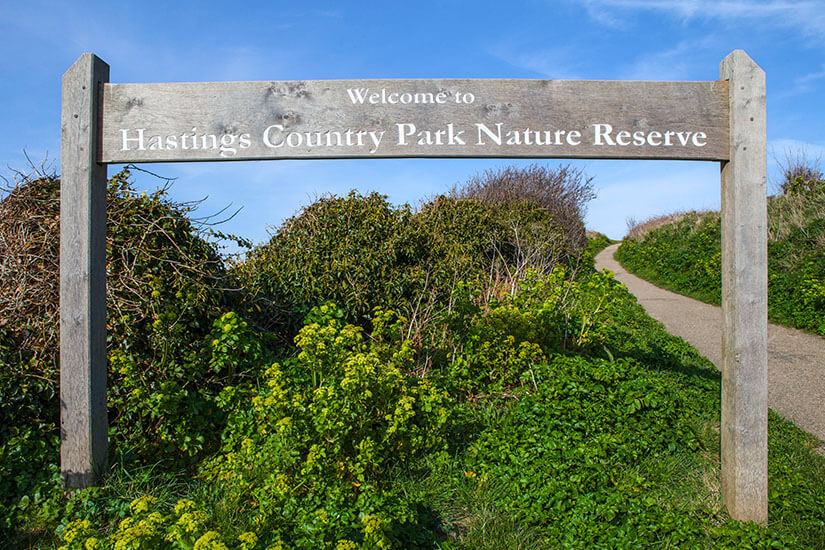 Hastings Country Park Nature Reserve