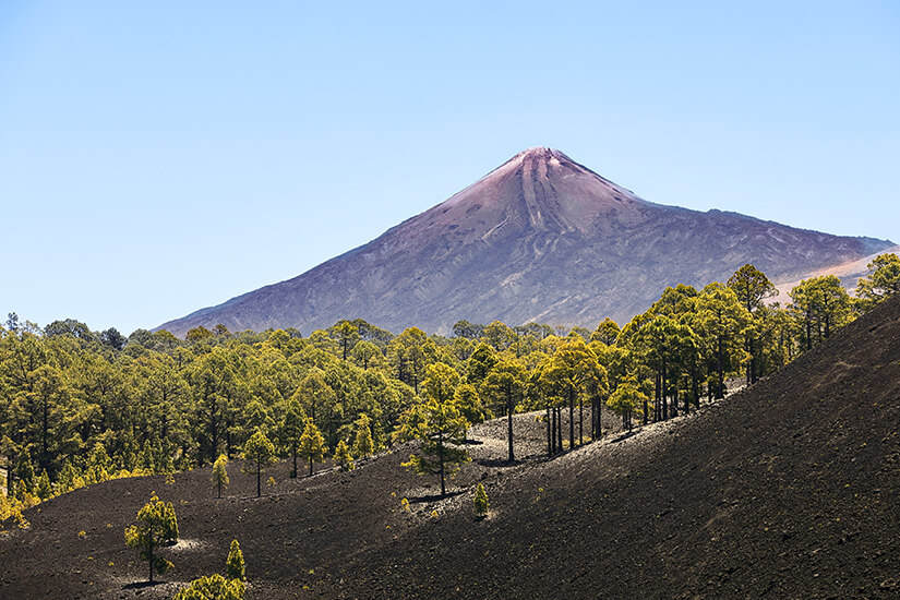 Pico del Teide