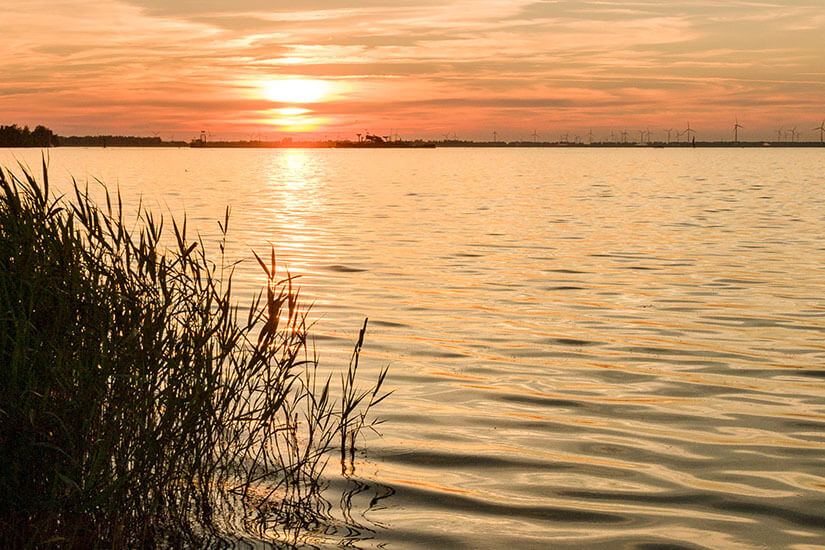 Niederlande Strand Horst
