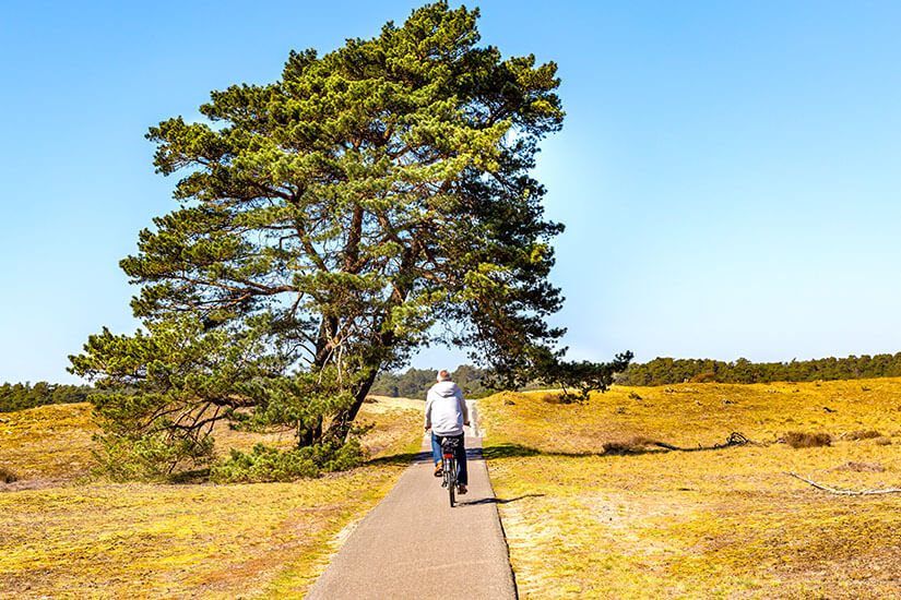 Nationalpark De Hoge Veluwe
