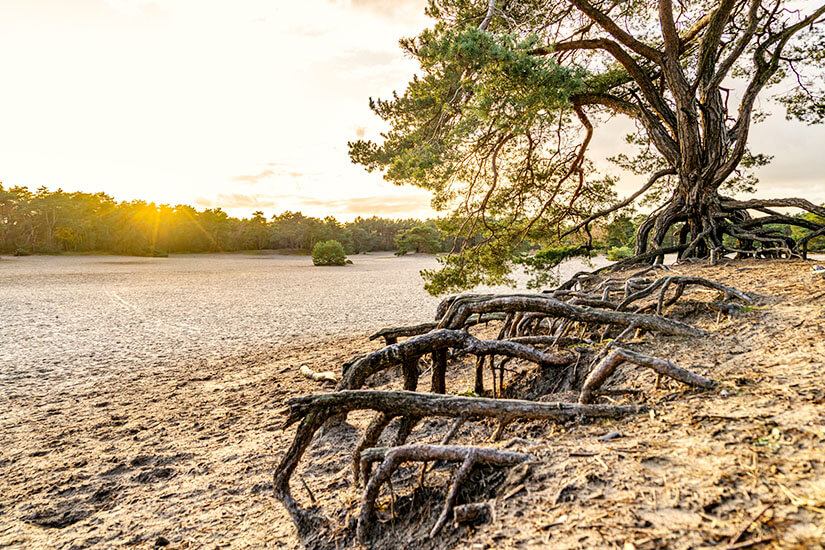 Soester Duinen