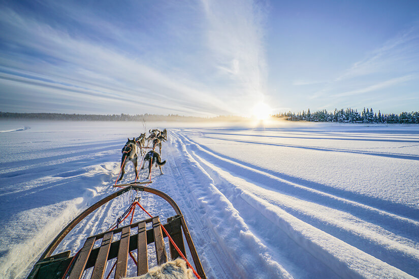Kiruna Hundeschlitten