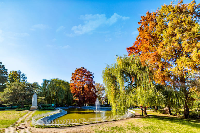 Novi Sad Donaupark