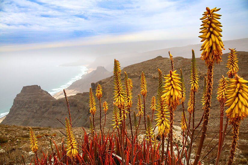Kapverden Monte Verde