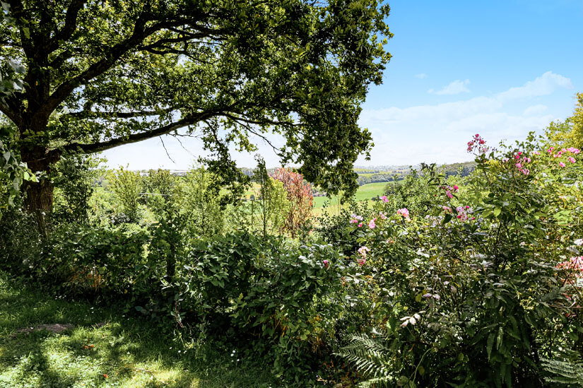 Fontainebleau Wandern