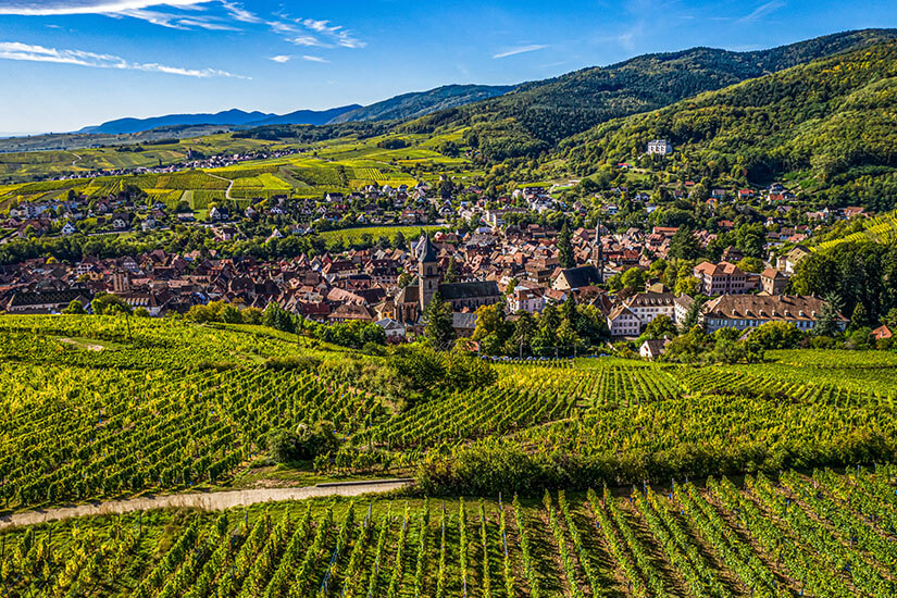 Ribeauville Ausblick