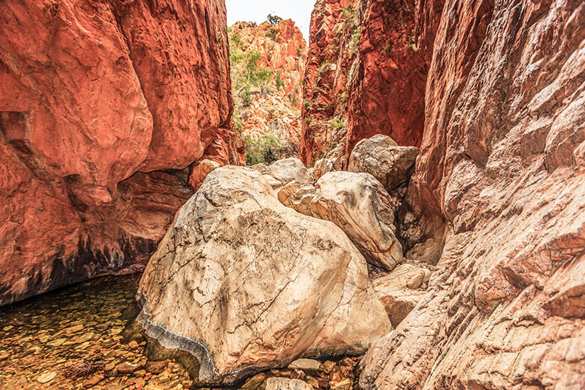 Australien Larapinta Trail