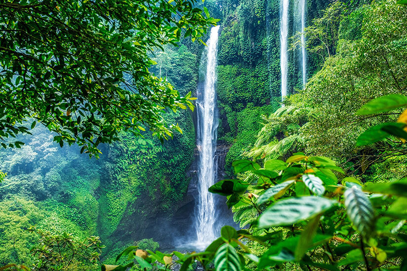 Bali Sekumpul Waterfall