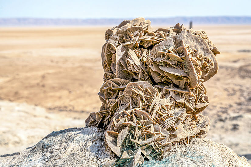 Souvenirs Namibia Wuestenrose
