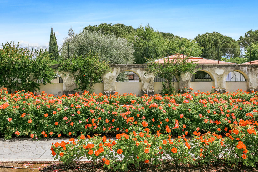 Lazise Italien Frühling