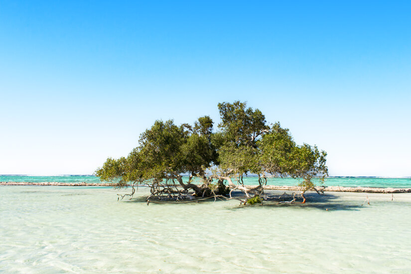 Wadi El Gemal Nationalpark