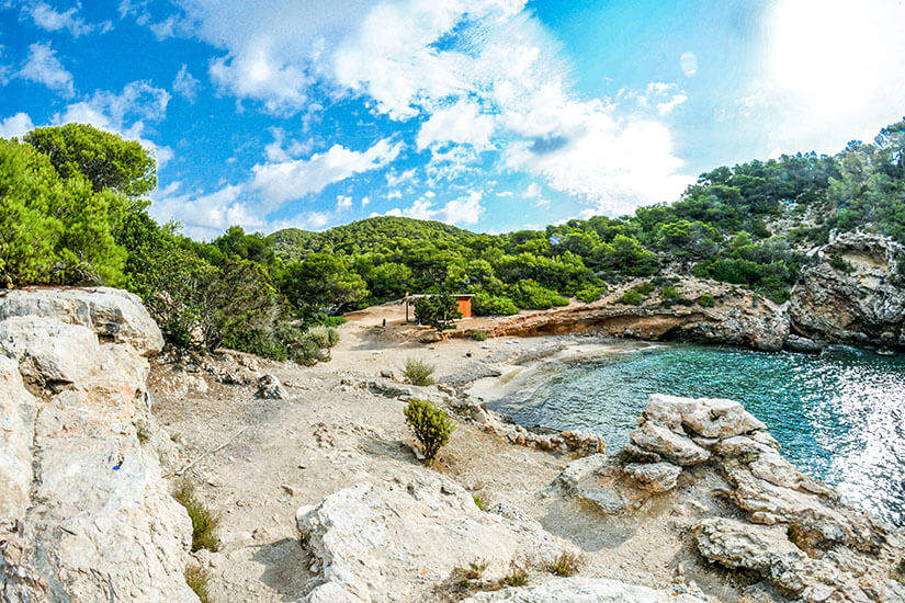 Ibiza Straende Cala Olivera