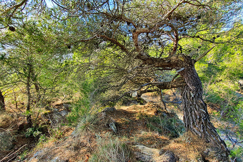 Alta Via dei Monti Liguri