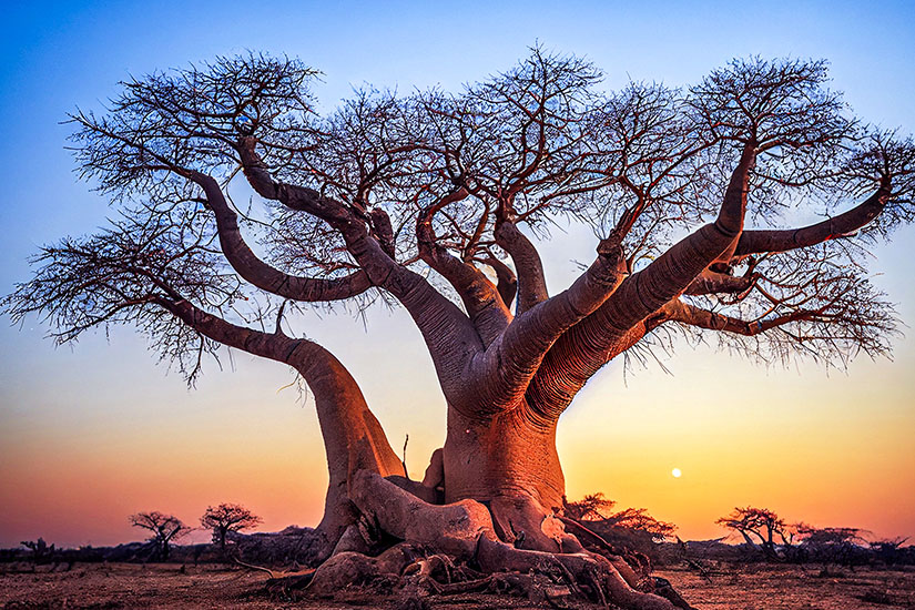 Indischer Ozean Inseln Madagaskar