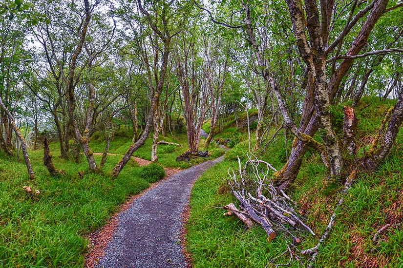 Ålesund Norwegen Wandern