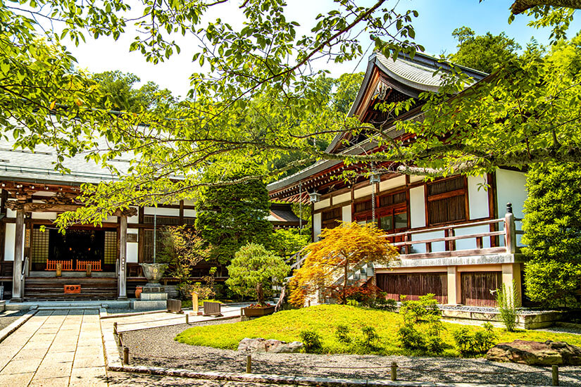 Hokoku ji Bambus Tempel