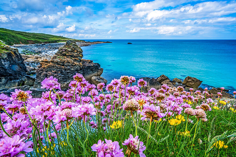 St Ives England Frühling