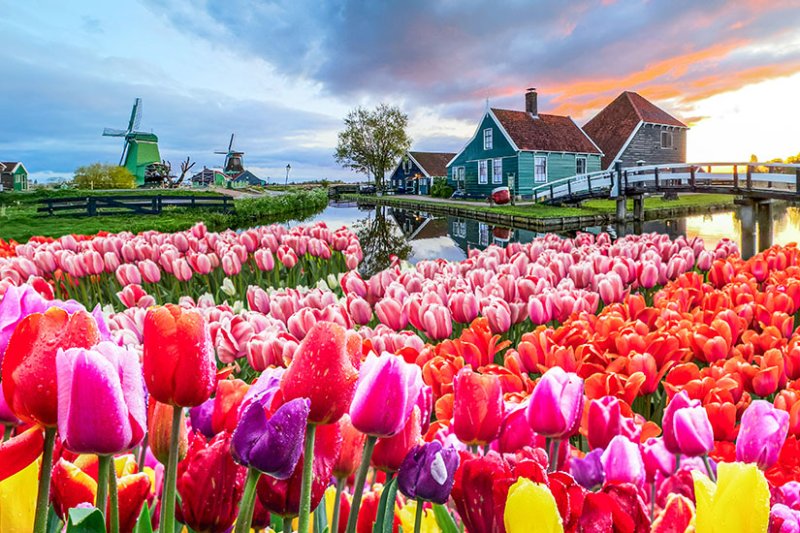 Faszinierend Ist Holland Eine Stadt Ebenbildnull