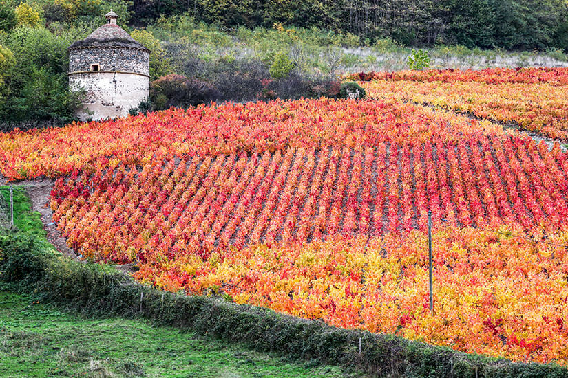 Chalon-sur-Saône Frankreich Herbst