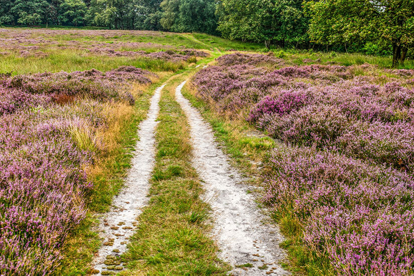 Hengelo Niederlande Wetter