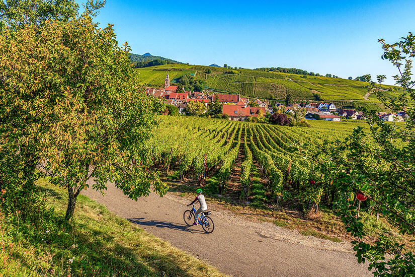 Elsass Radfahren