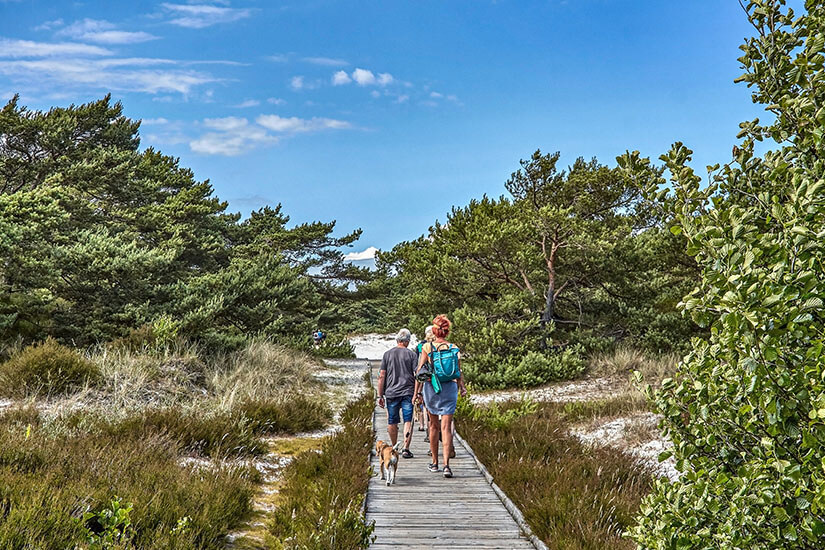 Packliste Daenemark Duenen