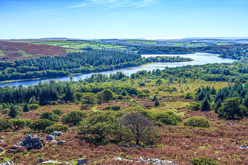 Devon Dartmoor