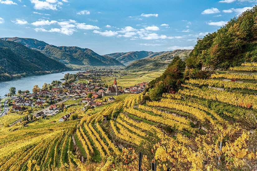 Wachau Weinberge