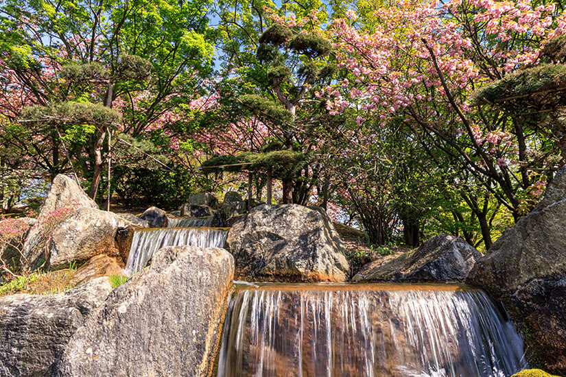 Hasselt Japanischer Garten